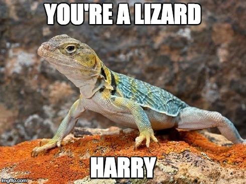 YOU'RE A LIZARD HARRY | image tagged in lizard_harry,puns | made w/ Imgflip meme maker