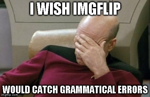 Captain Picard Facepalm Meme | I WISH IMGFLIP WOULD CATCH GRAMMATICAL ERRORS | image tagged in memes,captain picard facepalm | made w/ Imgflip meme maker