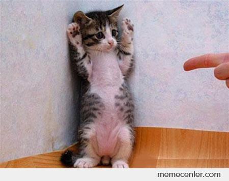 Innocent Blank Meme Template