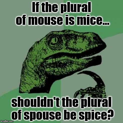 Similar Endings | If the plural of mouse is mice... shouldn't the plural of spouse be spice? | image tagged in memes,philosoraptor,logic,mouse | made w/ Imgflip meme maker