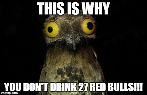 Weird Stuff I Do Potoo Meme | THIS IS WHY YOU DON'T DRINK 27 RED BULLS!!! | image tagged in memes,red bull,caffeine | made w/ Imgflip meme maker