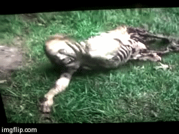 7-11 Girl | image tagged in gifs | made w/ Imgflip video-to-gif maker