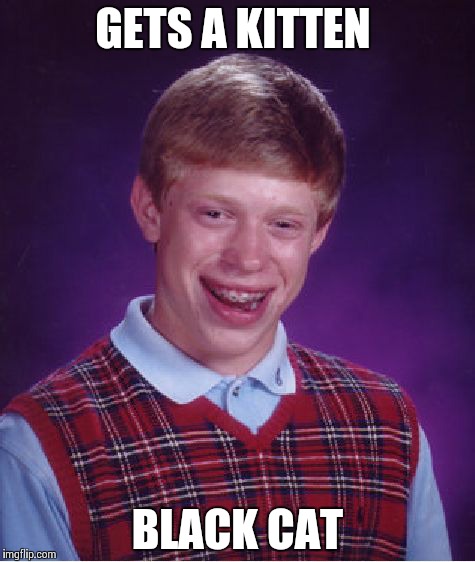 My first Bad Luck Brian meme, so sorry in advance for a repost :) | GETS A KITTEN BLACK CAT | image tagged in memes,bad luck brian | made w/ Imgflip meme maker