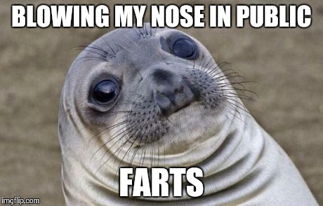 I know this feeling all too well...
 | BLOWING MY NOSE IN PUBLIC FARTS | image tagged in memes,awkward moment sealion | made w/ Imgflip meme maker