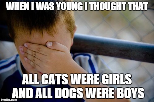 Confession Kid | WHEN I WAS YOUNG I THOUGHT THAT ALL CATS WERE GIRLS AND ALL DOGS WERE BOYS | image tagged in memes,confession kid | made w/ Imgflip meme maker