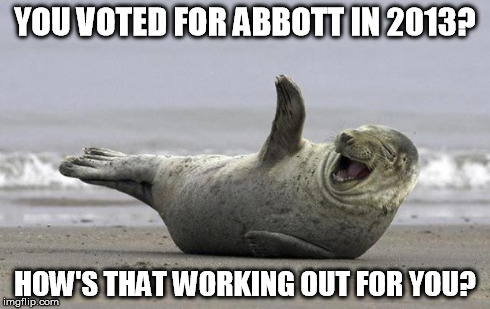 laughing seal | YOU VOTED FOR ABBOTT IN 2013? HOW'S THAT WORKING OUT FOR YOU? | image tagged in laughing seal | made w/ Imgflip meme maker