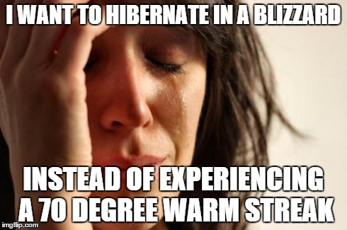 First World Problems Meme | I WANT TO HIBERNATE IN A BLIZZARD INSTEAD OF EXPERIENCING A 70 DEGREE WARM STREAK | image tagged in memes,first world problems,AdviceAnimals | made w/ Imgflip meme maker