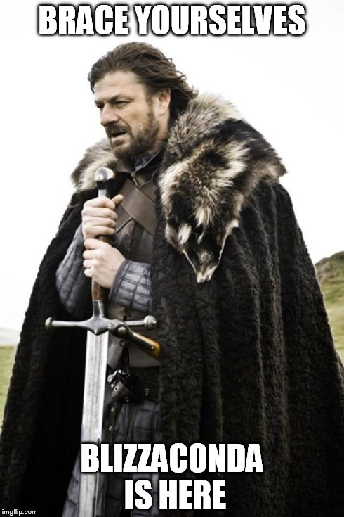 Ned Stark | BRACE YOURSELVES BLIZZACONDA IS HERE | image tagged in ned stark | made w/ Imgflip meme maker
