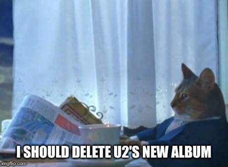 I Should Buy A Boat Cat | I SHOULD DELETE U2'S NEW ALBUM | image tagged in memes,i should buy a boat cat,AdviceAnimals | made w/ Imgflip meme maker