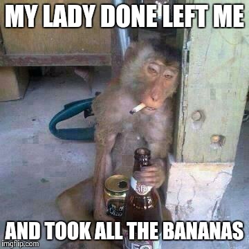 New monkey country song?  | MY LADY DONE LEFT ME AND TOOK ALL THE BANANAS | image tagged in drunken ass monkey,country | made w/ Imgflip meme maker