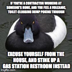 Angry Advice Mallard | IF YOU'RE A CONTRACTOR WORKING AT SOMEONE'S HOME, AND YOU FEEL A VOLCANIC, TOILET-CLOGGING DUMP POKING THROUGH EXCUSE YOURSELF FROM THE HOUS | image tagged in angry advice mallard | made w/ Imgflip meme maker