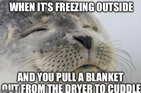 Satisfied Seal | WHEN IT'S FREEZING OUTSIDE AND YOU PULL A BLANKET OUT FROM THE DRYER TO CUDDLE | image tagged in memes,satisfied seal | made w/ Imgflip meme maker