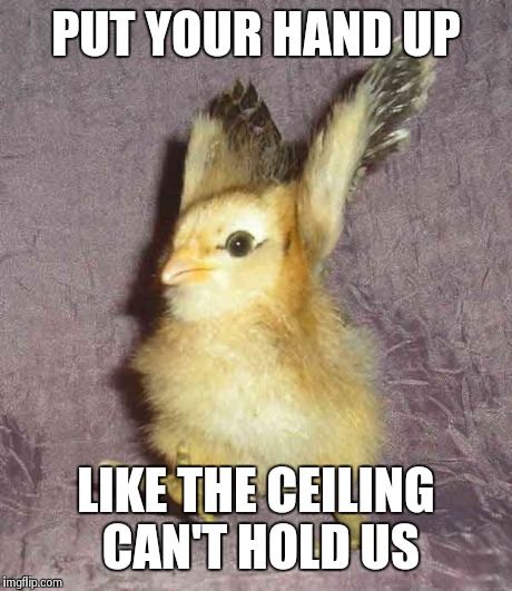 Can't hold us | PUT YOUR HAND UP LIKE THE CEILING CAN'T HOLD US | image tagged in can't hold us,macklemore,hands up,chick,funny,party | made w/ Imgflip meme maker