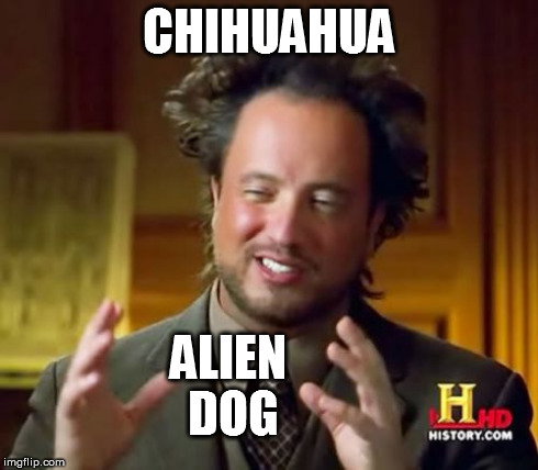 Ancient Aliens Meme | CHIHUAHUA ALIEN DOG | image tagged in memes,ancient aliens | made w/ Imgflip meme maker