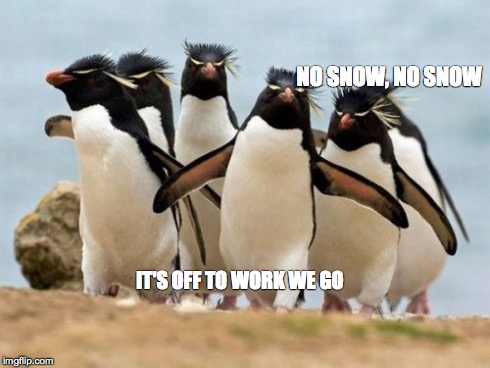 Penguin Gang Meme | NO SNOW, NO SNOW IT'S OFF TO WORK WE GO | image tagged in memes,penguin gang | made w/ Imgflip meme maker