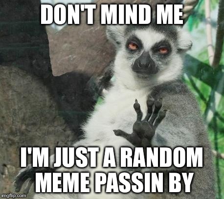 Stoner Lemur Meme | DON'T MIND ME I'M JUST A RANDOM MEME PASSIN BY | image tagged in memes,stoner lemur | made w/ Imgflip meme maker