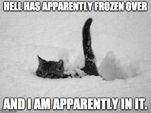 Snow Cat | HELL HAS APPARENTLY FROZEN OVER AND I AM APPARENTLY IN IT. | image tagged in snow cat | made w/ Imgflip meme maker