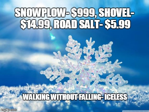 snowflake | SNOWPLOW- $999, SHOVEL- $14.99, ROAD SALT- $5.99 WALKING WITHOUT FALLING- ICELESS | image tagged in snowflake | made w/ Imgflip meme maker