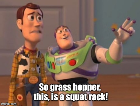 X, X Everywhere | So grass hopper, this, is a squat rack! | image tagged in memes,x x everywhere | made w/ Imgflip meme maker