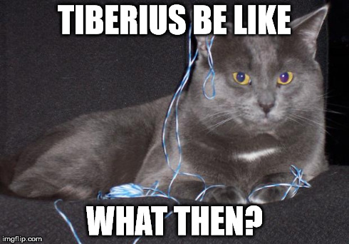 nonchalant cat tiberius | TIBERIUS BE LIKE WHAT THEN? | image tagged in cats | made w/ Imgflip meme maker