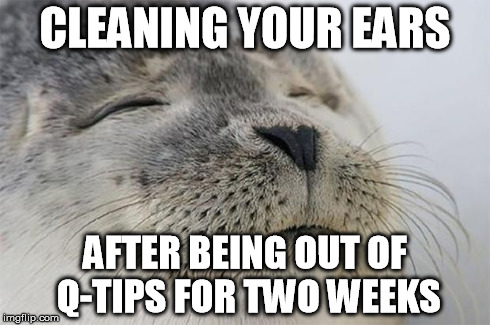 Satisfied Seal Meme | CLEANING YOUR EARS AFTER BEING OUT OF Q-TIPS FOR TWO WEEKS | image tagged in memes,satisfied seal,AdviceAnimals | made w/ Imgflip meme maker