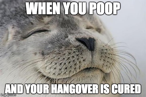Satisfied Seal | WHEN YOU POOP AND YOUR HANGOVER IS CURED | image tagged in memes,satisfied seal | made w/ Imgflip meme maker