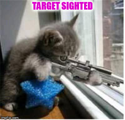 cats with guns | TARGET SIGHTED | image tagged in cats with guns | made w/ Imgflip meme maker
