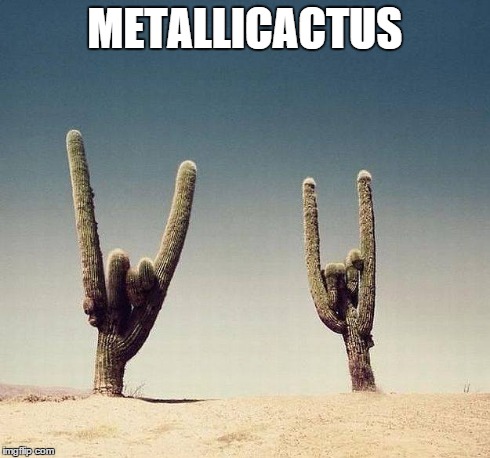 METALLICACTUS | image tagged in metallica,meme,heavy metal,horns,cactus | made w/ Imgflip meme maker