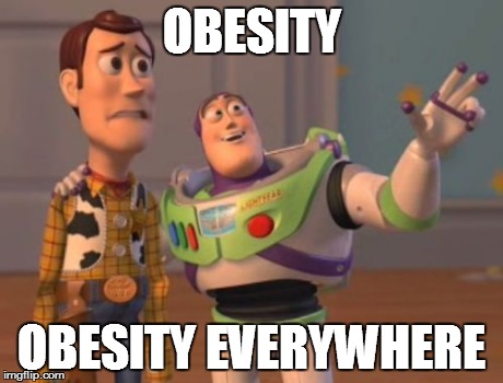 I went to McDonald's today and my mind was like | OBESITY OBESITY EVERYWHERE | image tagged in memes,x x everywhere | made w/ Imgflip meme maker