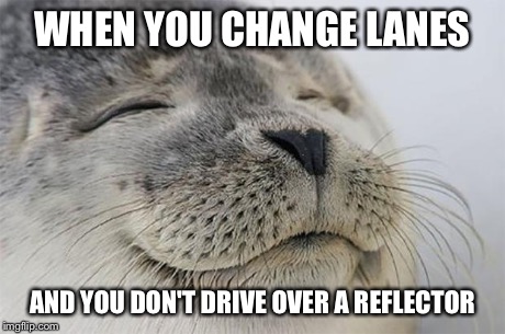 Satisfied Seal | WHEN YOU CHANGE LANES AND YOU DON'T DRIVE OVER A REFLECTOR | image tagged in memes,satisfied seal | made w/ Imgflip meme maker