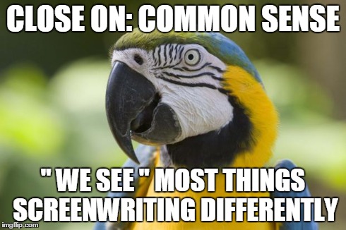 parrot | CLOSE ON: COMMON SENSE " WE SEE " MOST THINGS SCREENWRITING DIFFERENTLY | image tagged in parrot | made w/ Imgflip meme maker