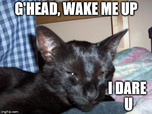 G'HEAD, WAKE ME UP I DARE U | image tagged in bbgg | made w/ Imgflip meme maker