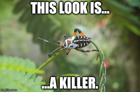 THIS LOOK IS... ...A KILLER. | image tagged in killing beauty | made w/ Imgflip meme maker