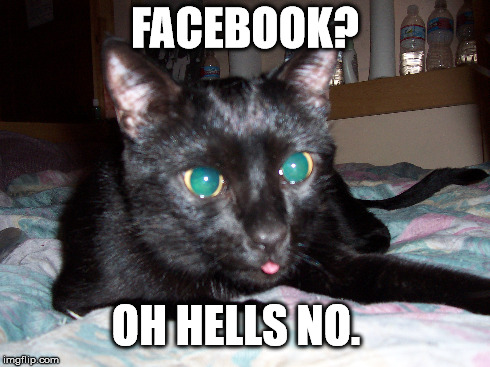 facebook? oh hells no | FACEBOOK? OH HELLS NO. | image tagged in mister byron,mr byron,cat,cat tongue,facebook,cute | made w/ Imgflip meme maker