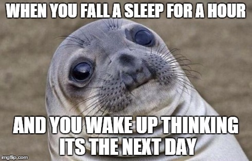 Awkward Moment Sealion Meme | WHEN YOU FALL A SLEEP FOR A HOUR AND YOU WAKE UP THINKING ITS THE NEXT DAY | image tagged in memes,awkward moment sealion | made w/ Imgflip meme maker