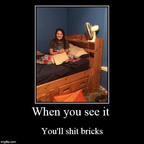 When You See It You'll Sh T Bricks