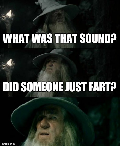 Confused Gandalf | WHAT WAS THAT SOUND? DID SOMEONE JUST FART? | image tagged in memes,confused gandalf | made w/ Imgflip meme maker