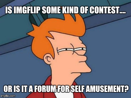 imgflip
 | IS IMGFLIP SOME KIND OF CONTEST.... OR IS IT A FORUM FOR SELF AMUSEMENT? | image tagged in memes,futurama fry | made w/ Imgflip meme maker