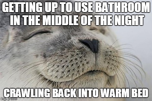 Satisfied Seal | GETTING UP TO USE BATHROOM IN THE MIDDLE OF THE NIGHT CRAWLING BACK INTO WARM BED | image tagged in memes,satisfied seal,AdviceAnimals | made w/ Imgflip meme maker