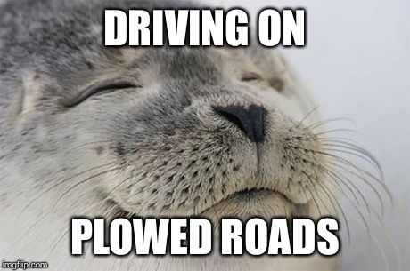 Satisfied Seal | DRIVING ON PLOWED ROADS | image tagged in memes,satisfied seal,AdviceAnimals | made w/ Imgflip meme maker