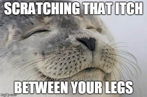 Satisfied Seal | SCRATCHING THAT ITCH BETWEEN YOUR LEGS | image tagged in memes,satisfied seal | made w/ Imgflip meme maker