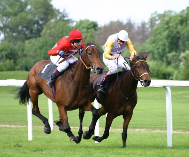 High Quality two horses racing Blank Meme Template