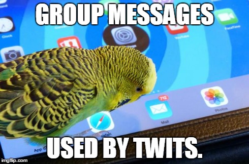 GROUP MESSAGES USED BY TWITS. | image tagged in tech budgie | made w/ Imgflip meme maker