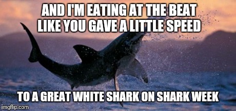 Great white shark on shark week | AND I'M EATING AT THE BEAT LIKE YOU GAVE A LITTLE SPEED TO A GREAT WHITE SHARK ON SHARK WEEK | image tagged in flying shark,great white,meme,music,inspirational | made w/ Imgflip meme maker