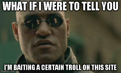 Matrix Morpheus Meme | WHAT IF I WERE TO TELL YOU I'M BAITING A CERTAIN TROLL ON THIS SITE | image tagged in memes,matrix morpheus | made w/ Imgflip meme maker