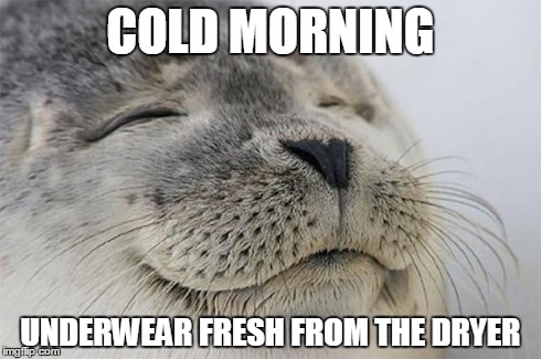 Satisfied Seal | COLD MORNING UNDERWEAR FRESH FROM THE DRYER | image tagged in memes,satisfied seal | made w/ Imgflip meme maker