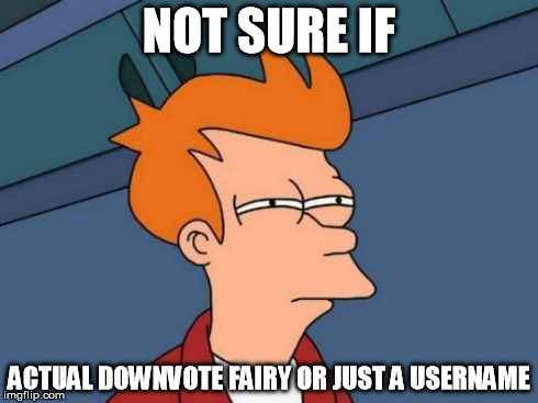 Futurama Fry Meme | NOT SURE IF ACTUAL DOWNVOTE FAIRY OR JUST A USERNAME | image tagged in memes,futurama fry | made w/ Imgflip meme maker