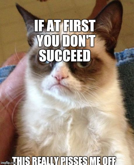 Grumpy Cat | IF AT FIRST YOU DON'T SUCCEED THIS REALLY PISSES ME OFF | image tagged in memes,grumpy cat | made w/ Imgflip meme maker