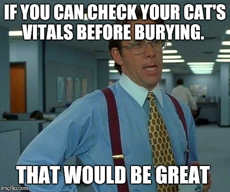 That Would Be Great Meme | IF YOU CAN CHECK YOUR CAT'S VITALS BEFORE BURYING. THAT WOULD BE GREAT | image tagged in memes,that would be great,AdviceAnimals | made w/ Imgflip meme maker