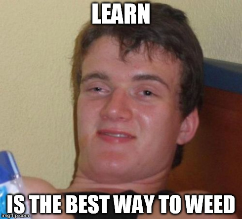 10 Guy Meme | LEARN IS THE BEST WAY TO WEED | image tagged in memes,10 guy | made w/ Imgflip meme maker